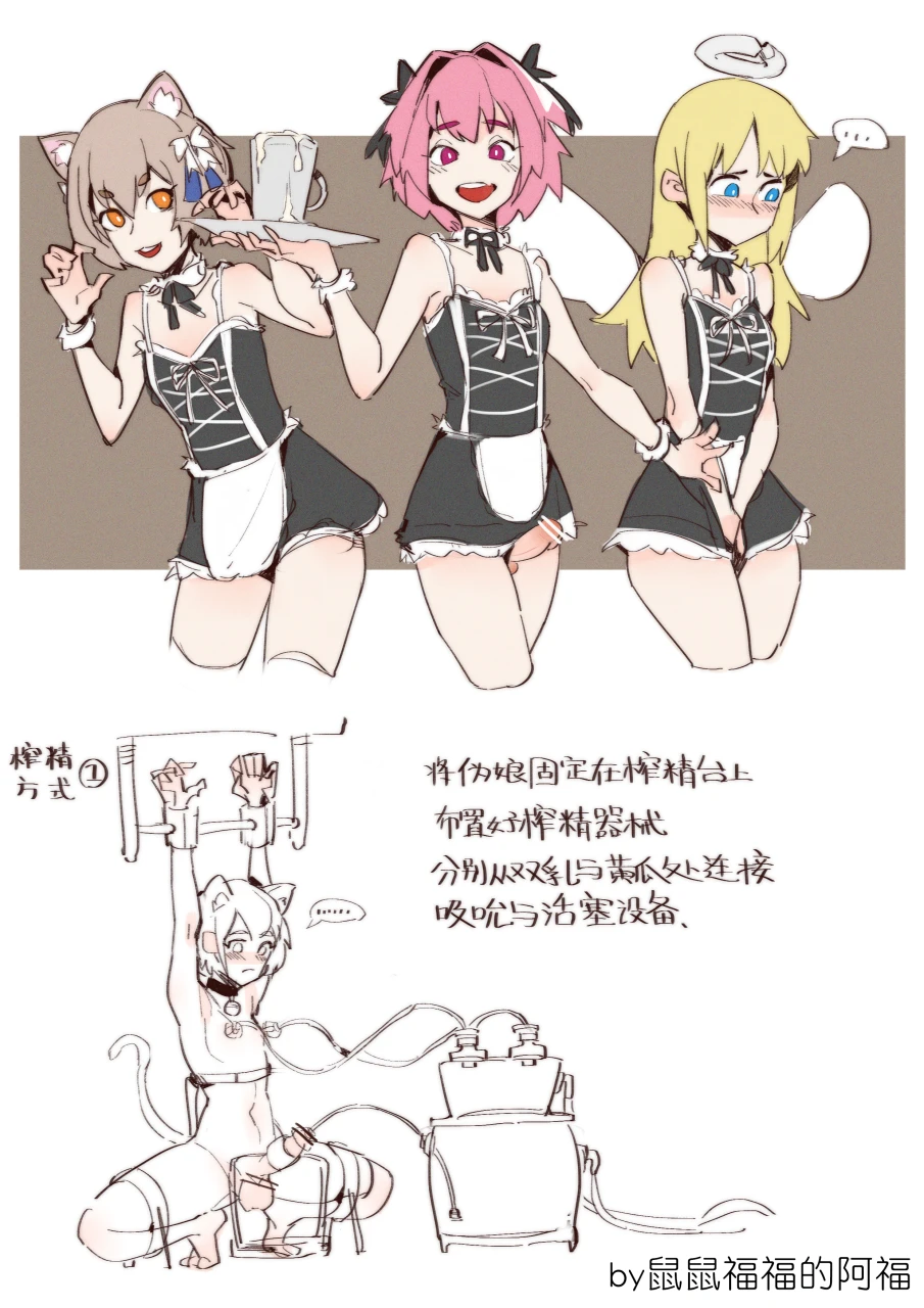 astolfo-fatecrimvaelfelix-argyle