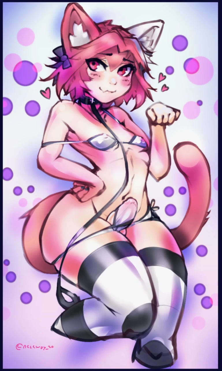 astolfo-fate