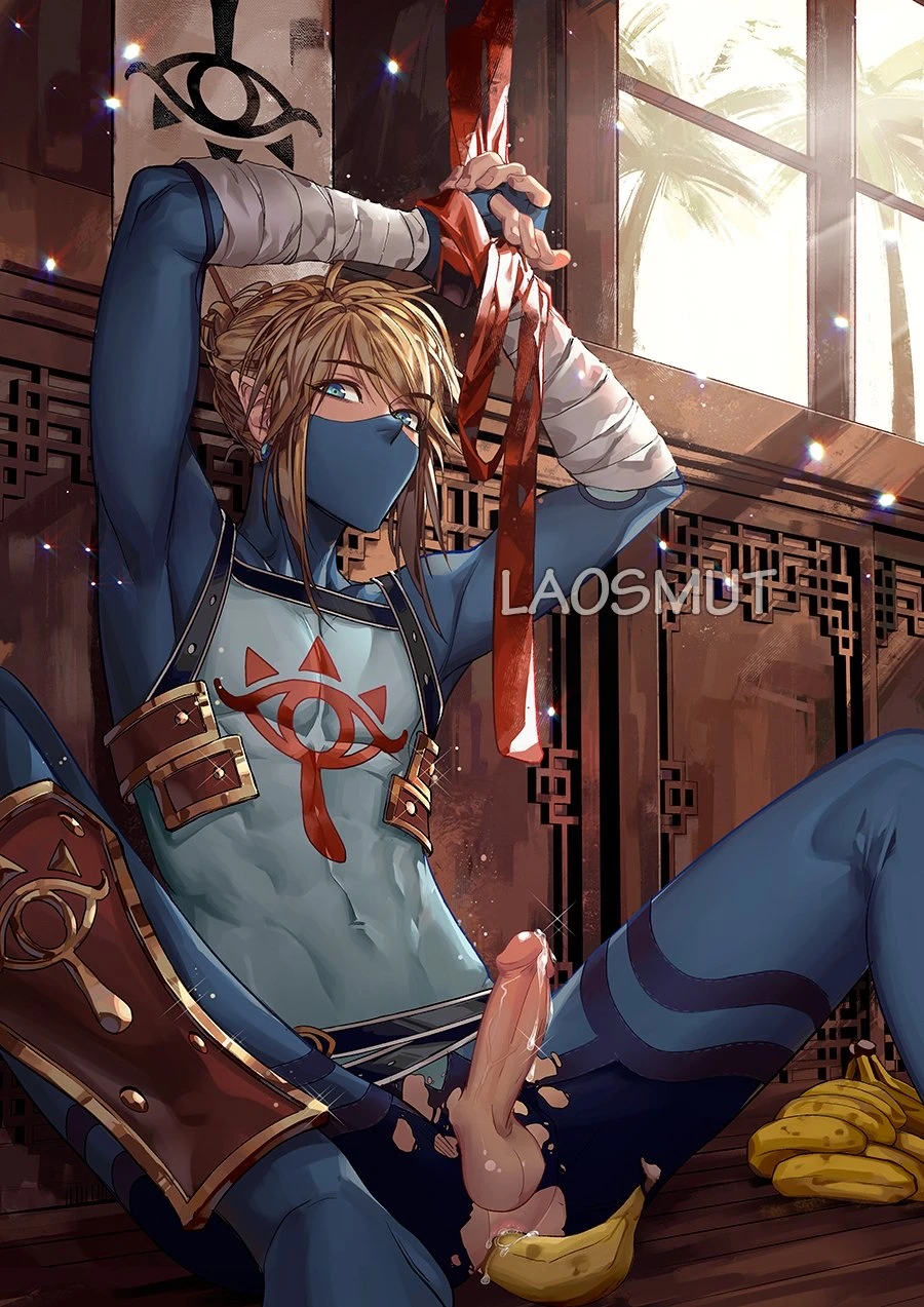 linksheikahsheikah-link