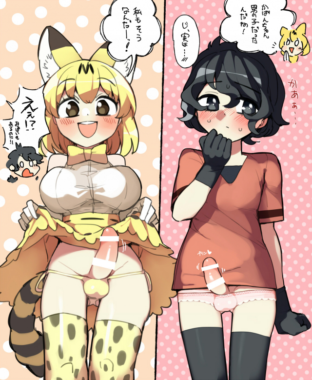 kaban (kemono friends),serval (kemono friends)