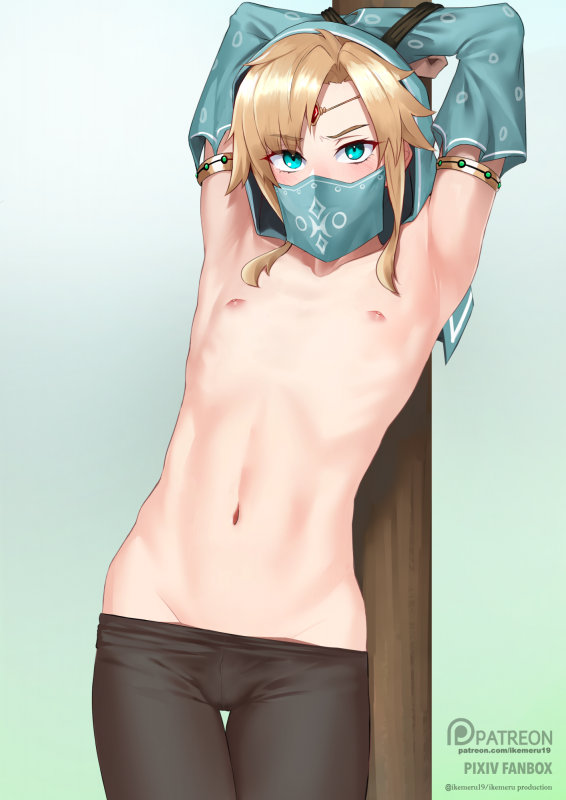 gerudo link,link