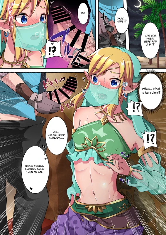 gerudo link,link
