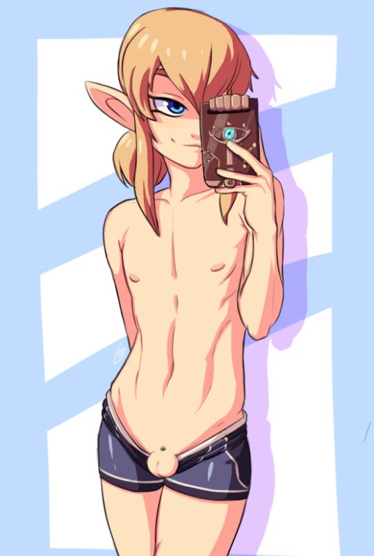 armorless link,link,link (breath of the wild)