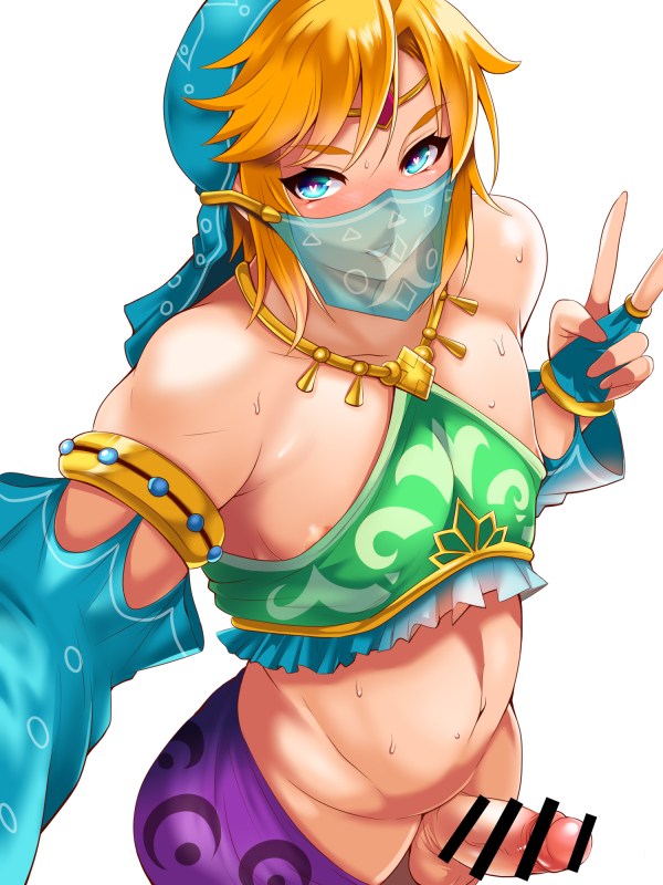 gerudo link,link