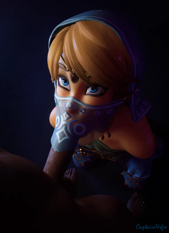 gerudo link,link