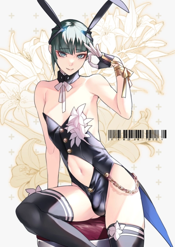 protagonist (shin megami tensei v)