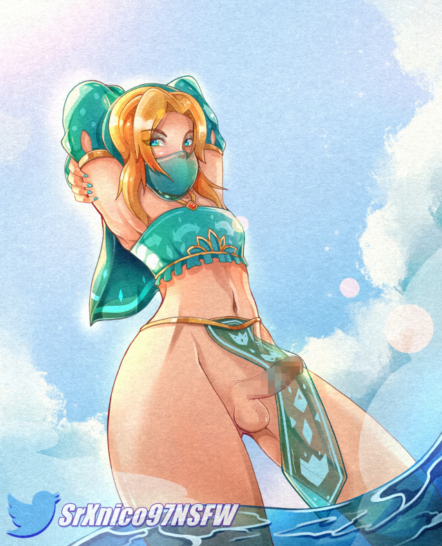 gerudo,gerudo link,link