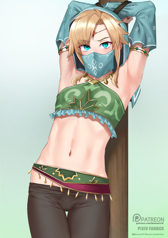 gerudo link,link