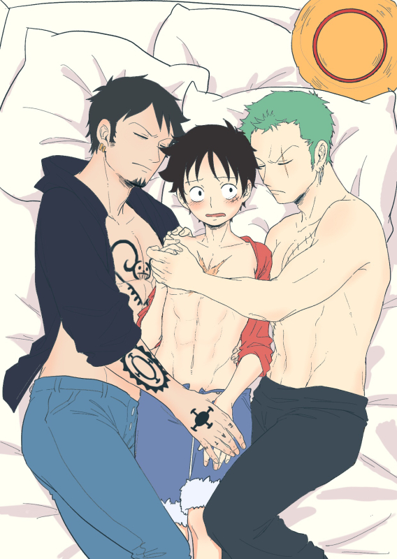 monkey d luffy,roronoa zoro,trafalgar law