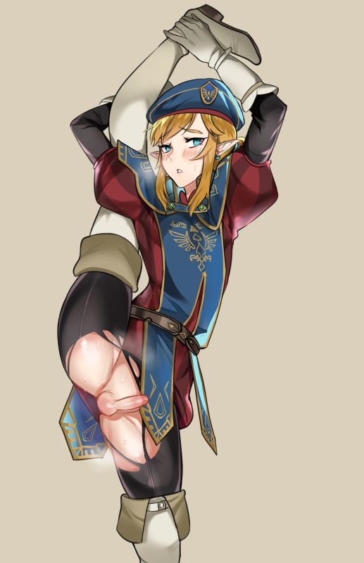 link,royal guard link